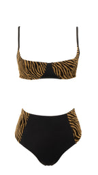 Persia - Black & Gold